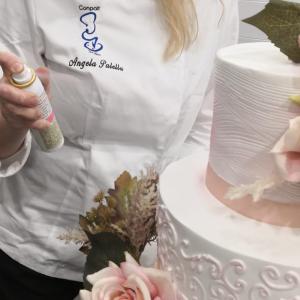 [field_galleria_alt]