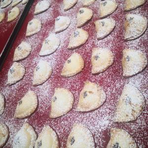 [field_galleria_alt]