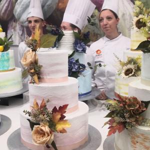 [field_galleria_alt]