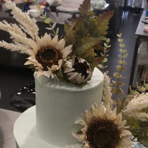 [field_galleria_alt]