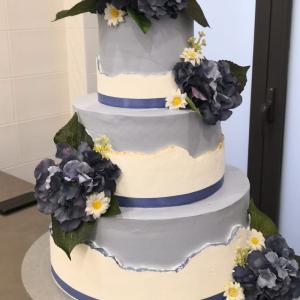 [field_galleria_alt]