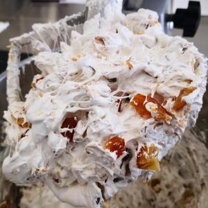 [field_galleria_alt]