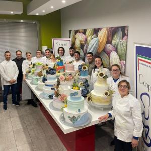 [field_galleria_alt]