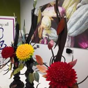 [field_galleria_alt]