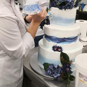 [field_galleria_alt]