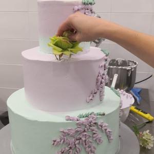 [field_galleria_alt]