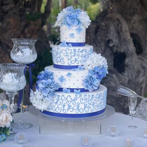 [field_galleria_alt]