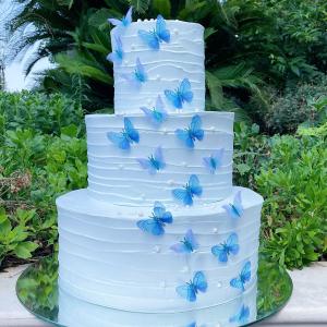 [field_galleria_alt]