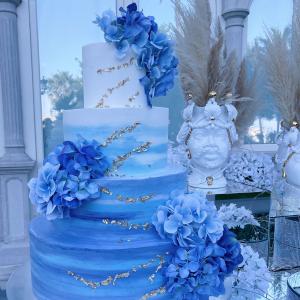 [field_galleria_alt]