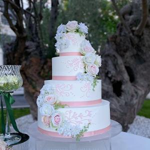 [field_galleria_alt]